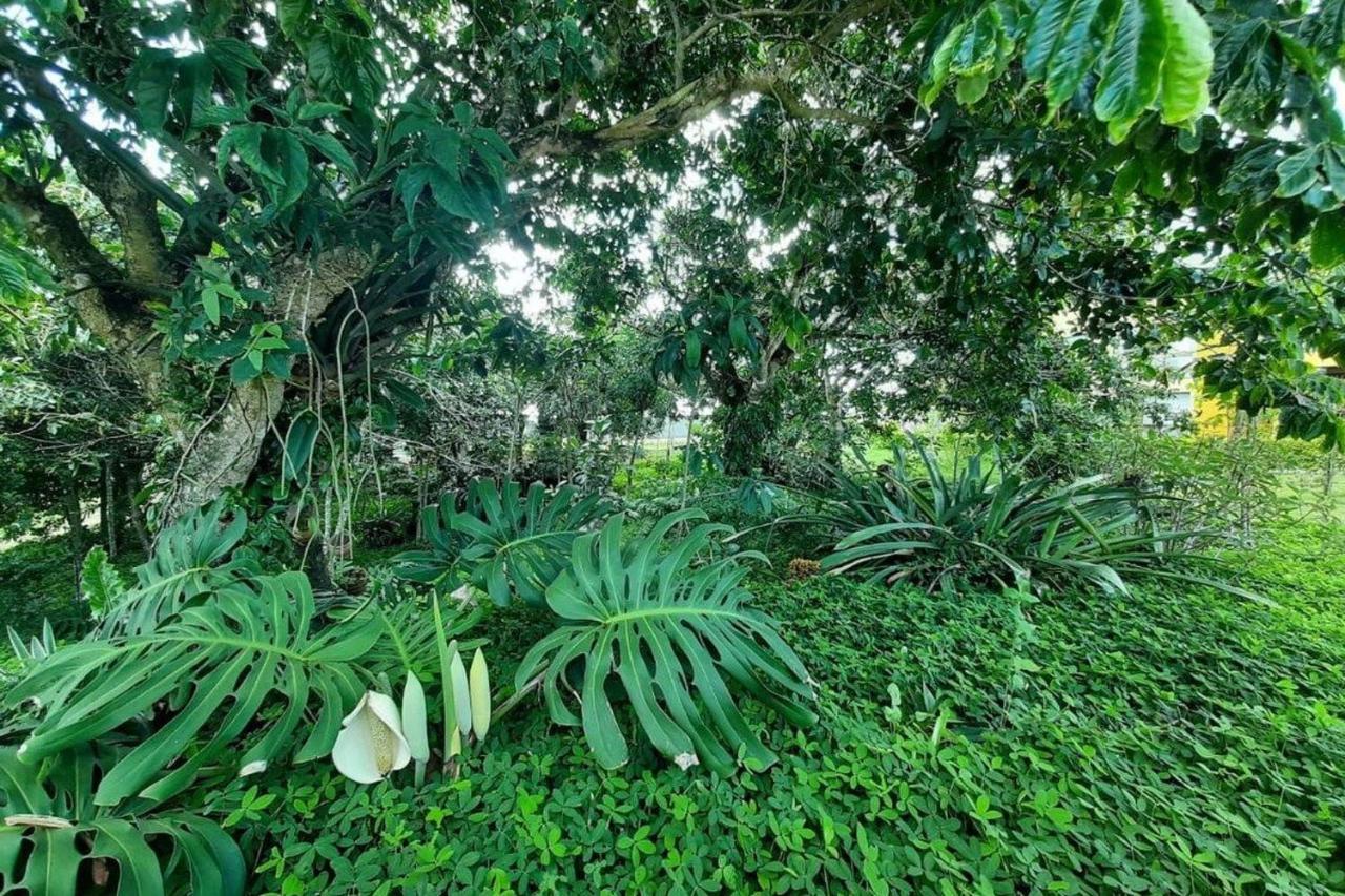 Flat Em Serra Negra - Bezerros Exteriér fotografie